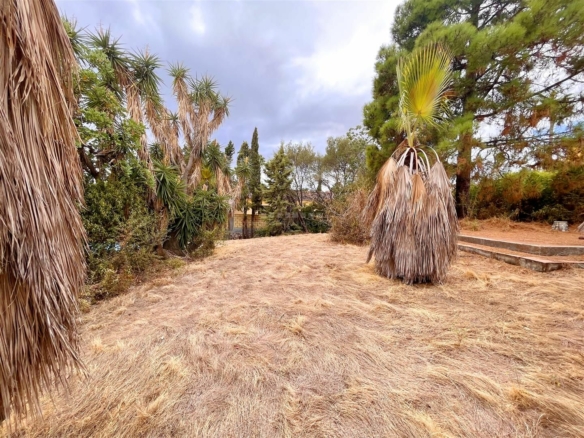 🏡 Exceptional Villa Renovation Opportunity in  Marbella