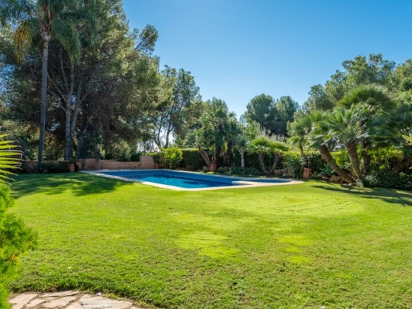 For Sale – Golden Mile – 5 Bed Mansion 🏡 – Beautiful Area 🌳 – Near Facilities 🏙️