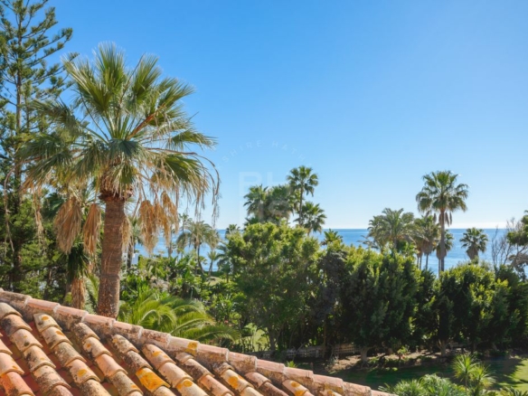 For sale 🌟 ELEGANT 10 Bedrooms BEACHFRONT MANSION WITH GUEST ACCOMMODATION ON THE NEW GOLDEN MILE 🌴