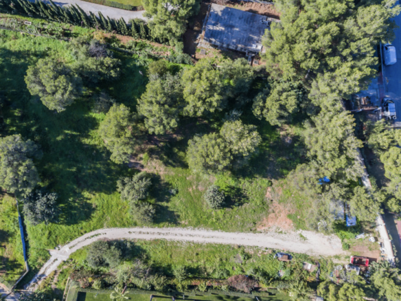 FOR SALE 🌴 PLOT IN SIERRA BLANCA MARBELLA GOLDEN MILE 🏰 GATED