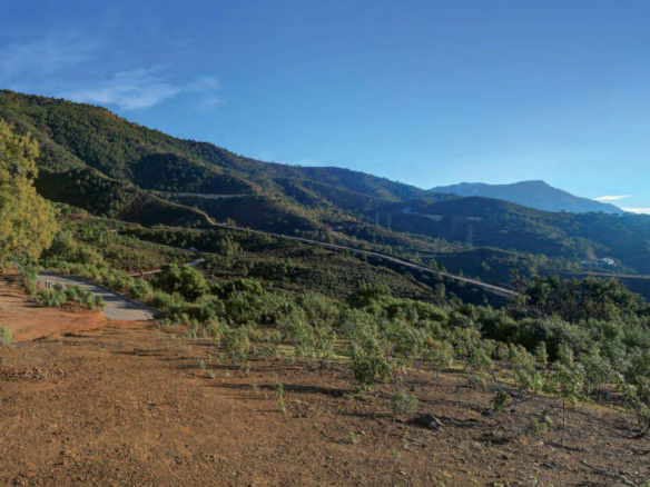 Sea View – Building Plot for sale 🌟 La Zagaleta