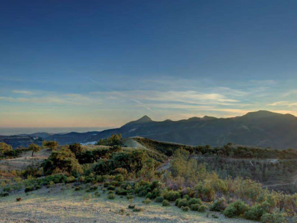Sea View – Building Plot for sale 🌟 La Zagaleta