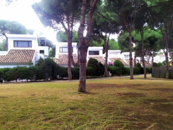 Bargain – New Golden Mile  🏠 3 Bedrooms Townhouse for Sale