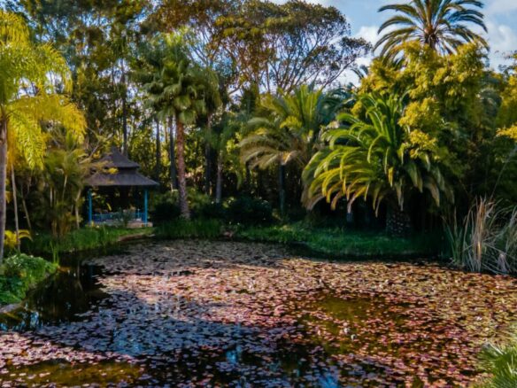 For Rent –  Moorish Palatial Mansion – Park like Gardens