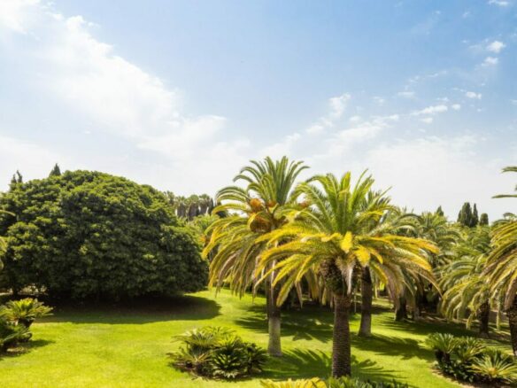For Rent –  Moorish Palatial Mansion – Park like Gardens