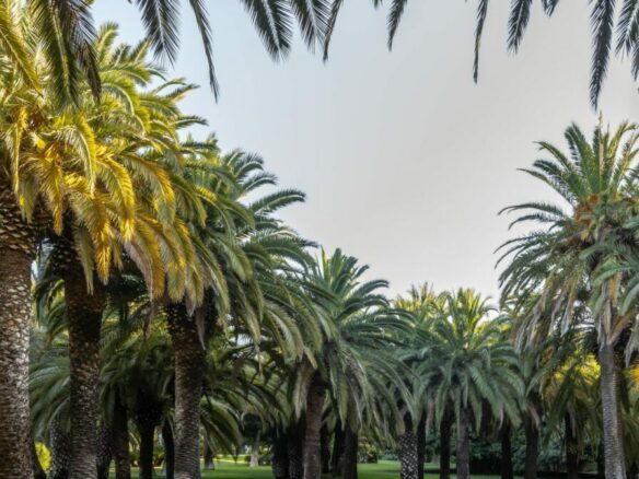 For Rent –  Moorish Palatial Mansion – Park like Gardens