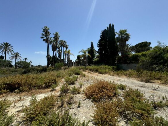 🏡 For Sale: 🌟 Last & Largest Plot Available in Nueva Andalucia in a  prestigious community
