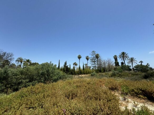 🏡 For Sale: 🌟 Last & Largest Plot Available in Nueva Andalucia in a  prestigious community