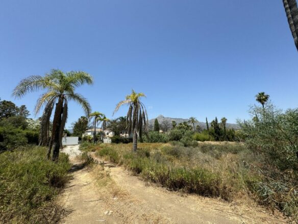 🏡 For Sale: 🌟 Last & Largest Plot Available in Nueva Andalucia in a  prestigious community