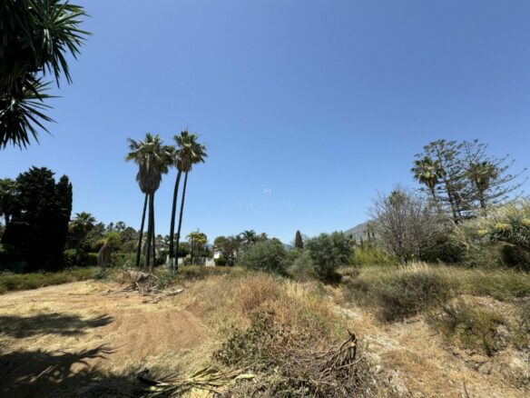 🏡 For Sale: 🌟 Last & Largest Plot Available in Nueva Andalucia in a  prestigious community