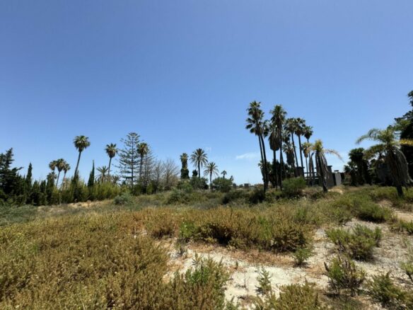 🏡 For Sale: 🌟 Last & Largest Plot Available in Nueva Andalucia in a  prestigious community