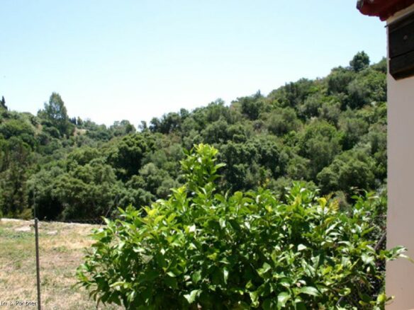 For sale – Exceptionally Large Plot  5840m2 with old villa  – Benahavis🌞