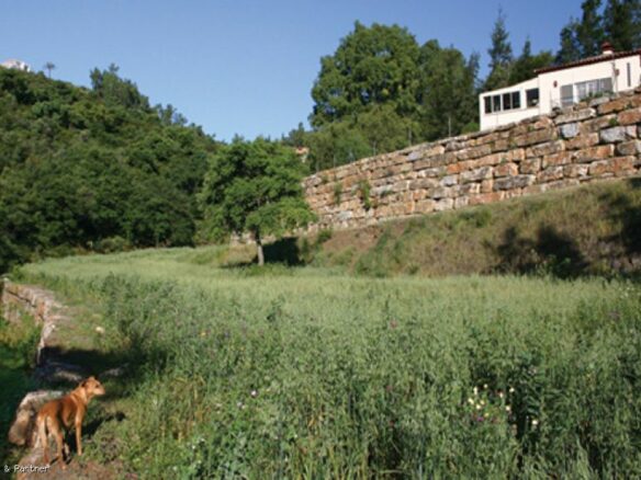 For sale – Exceptionally Large Plot  5840m2 with old villa  – Benahavis🌞
