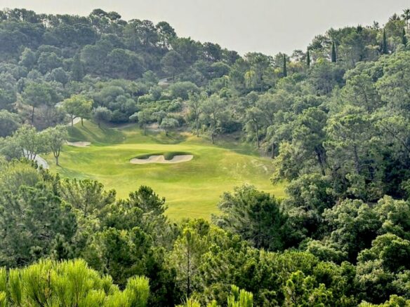🏡 For Sale: La Zagaleta – Luxury villa – Impressive Garden  🌿🌺