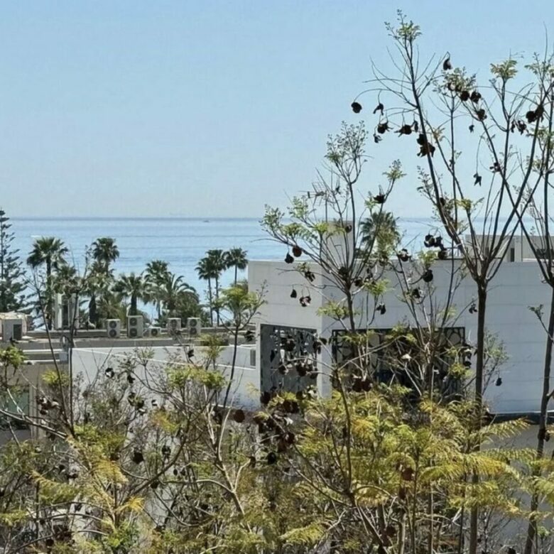 For sale 🇪🇸 Marbella’s Golden Mile – Beachside 3-Bed Apartment 🌴🏖️ Sea views 