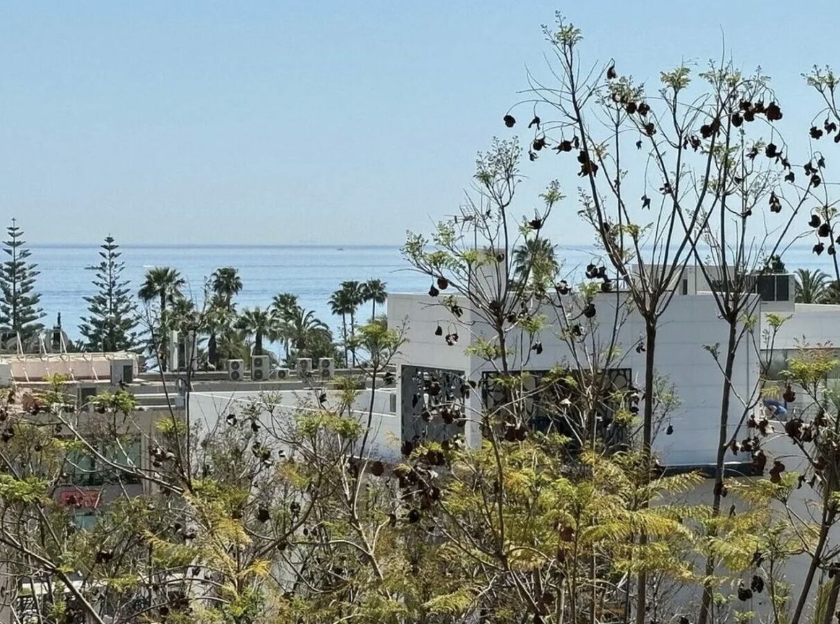 For sale 🇪🇸 Marbella’s Golden Mile – Beachside 3-Bed Apartment 🌴🏖️ Sea views 