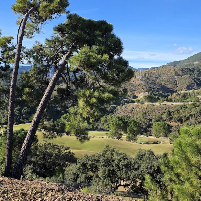 For Sale: Plot & Project – Privileged Frontline Golf  Plot in La Zagaleta 🇪🇸✨