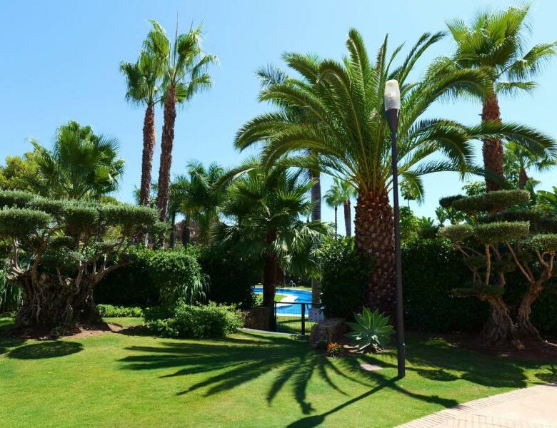 FOR SALE 🏡 Beachside Apartment near Mistral Beach – Las Mimosas, Puerto Banús, Marbella
