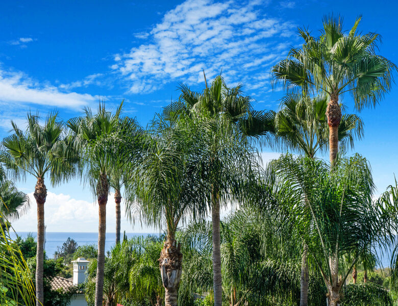 FOR SALE 🏡 Renovation Villa in Gated Community – Las Lomas de Magna Marbella, Golden Mile