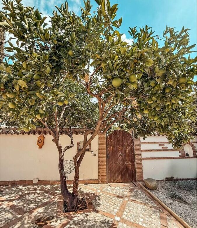 FOR SALE 🌟🏡 Family House with Pool, Jacuzzi and Tourist Licence 🇪🇸 Nueva Andalucía, Marbella 🇪🇸