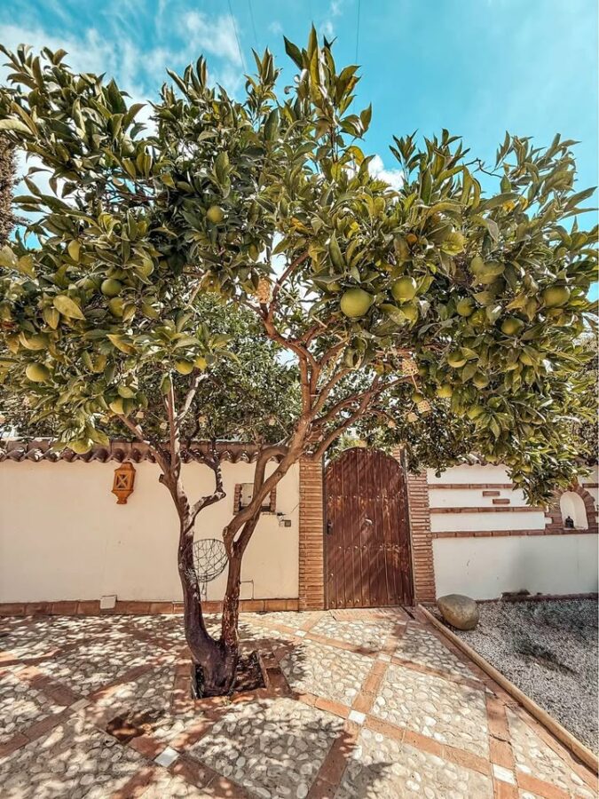 FOR SALE 🌟🏡 Family House with Pool, Jacuzzi and Tourist Licence 🇪🇸 Nueva Andalucía, Marbella 🇪🇸
