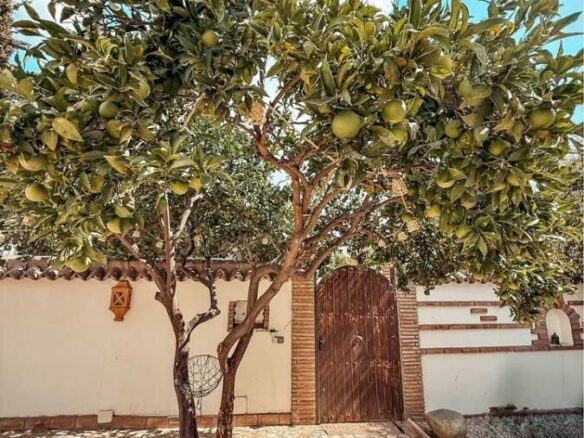 FOR SALE 🌟🏡 Family House with Pool, Jacuzzi and Tourist Licence 🇪🇸 Nueva Andalucía, Marbella 🇪🇸