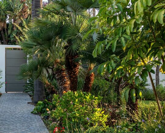 FOR SALE 🌟🏡 Single-Level Garden Villa in La Cerquilla🇪🇸 Nueva Andalucía, Marbella 🇪🇸
