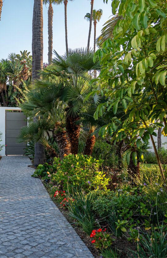 FOR SALE 🌟🏡 Single-Level Garden Villa in La Cerquilla🇪🇸 Nueva Andalucía, Marbella 🇪🇸