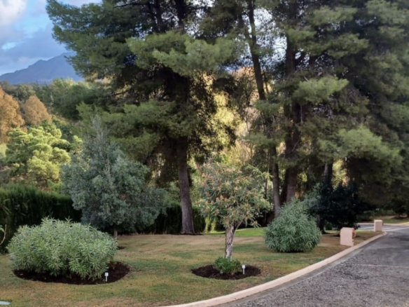 FOR SALE 🇪🇸✨ DETACHED VILLA – BENAHAVÍS, COSTA DEL SOL 🏠🌴 5.287 m² Plot Can be divided, max 3 units