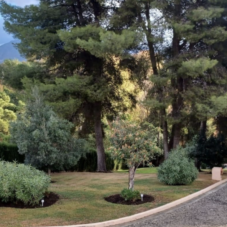 FOR SALE 🇪🇸✨ DETACHED VILLA – BENAHAVÍS, COSTA DEL SOL 🏠🌴 5.287 m² Plot Can be divided, max 3 units