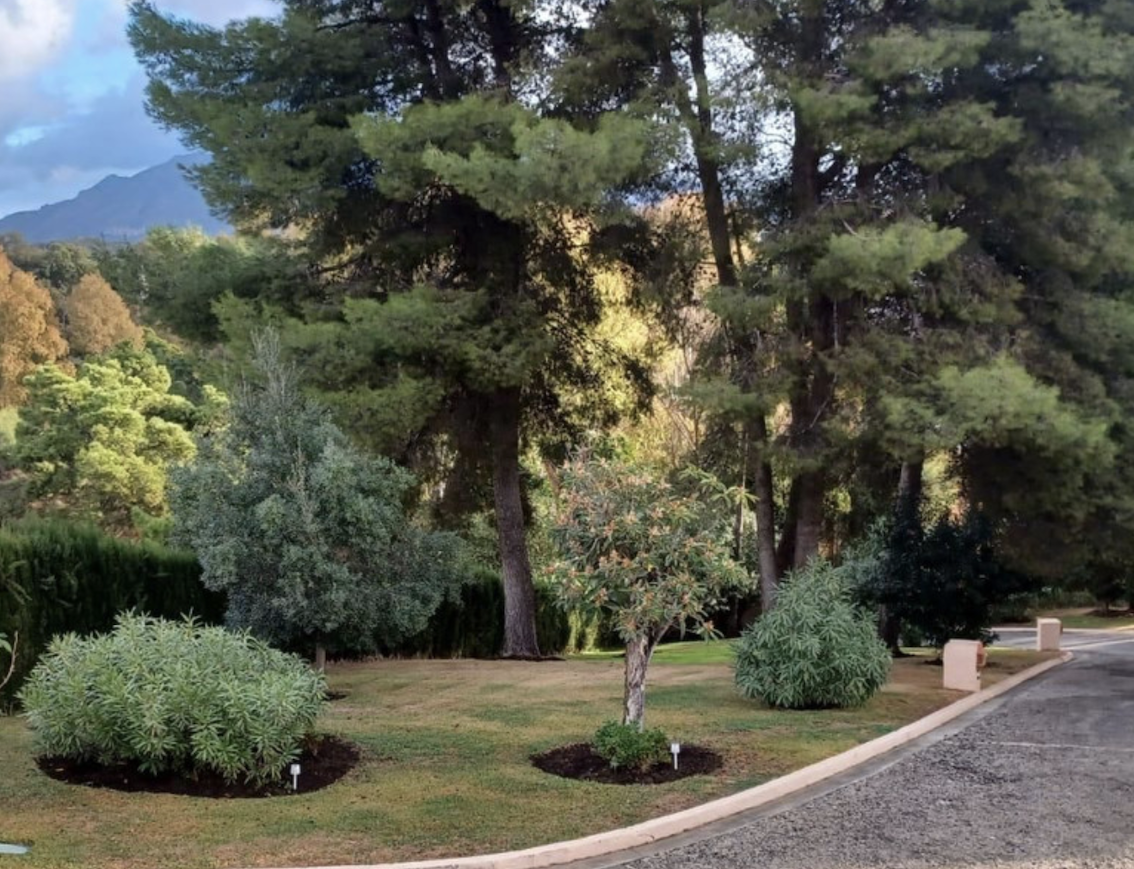 FOR SALE 🇪🇸✨ DETACHED VILLA – BENAHAVÍS, COSTA DEL SOL 🏠🌴 5.287 m² Plot Can be divided, max 3 units