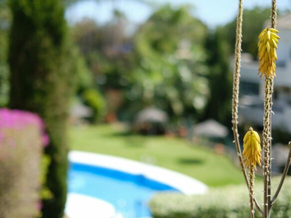 FOR SALE 🏡 South-Facing Ground-Floor Apartment with Garden and Pool Views – Valle del Golf, Nueva Andalucía 🇪🇸