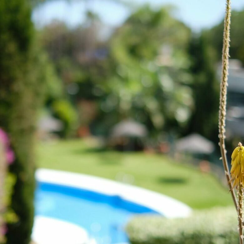 FOR SALE 🏡 South-Facing Ground-Floor Apartment with Garden and Pool Views – Valle del Golf, Nueva Andalucía 🇪🇸