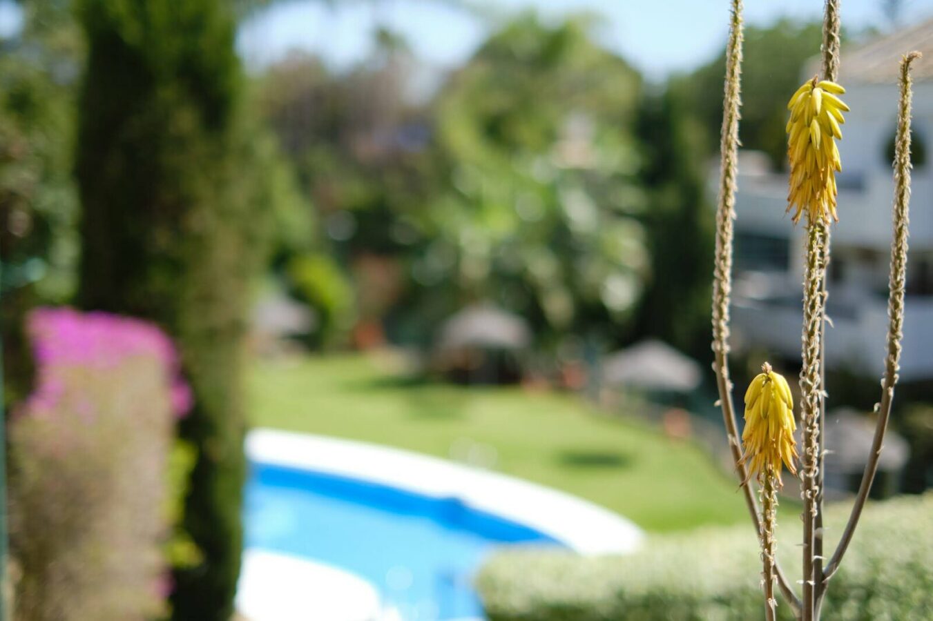 FOR SALE 🏡 South-Facing Ground-Floor Apartment with Garden and Pool Views – Valle del Golf, Nueva Andalucía 🇪🇸