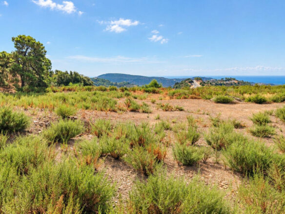FOR SALE 🏡 Flat 4,570 m² Plot with Panoramic Sea Views in a Gated Estate – Monte Mayor, Benahavís 🇪🇸