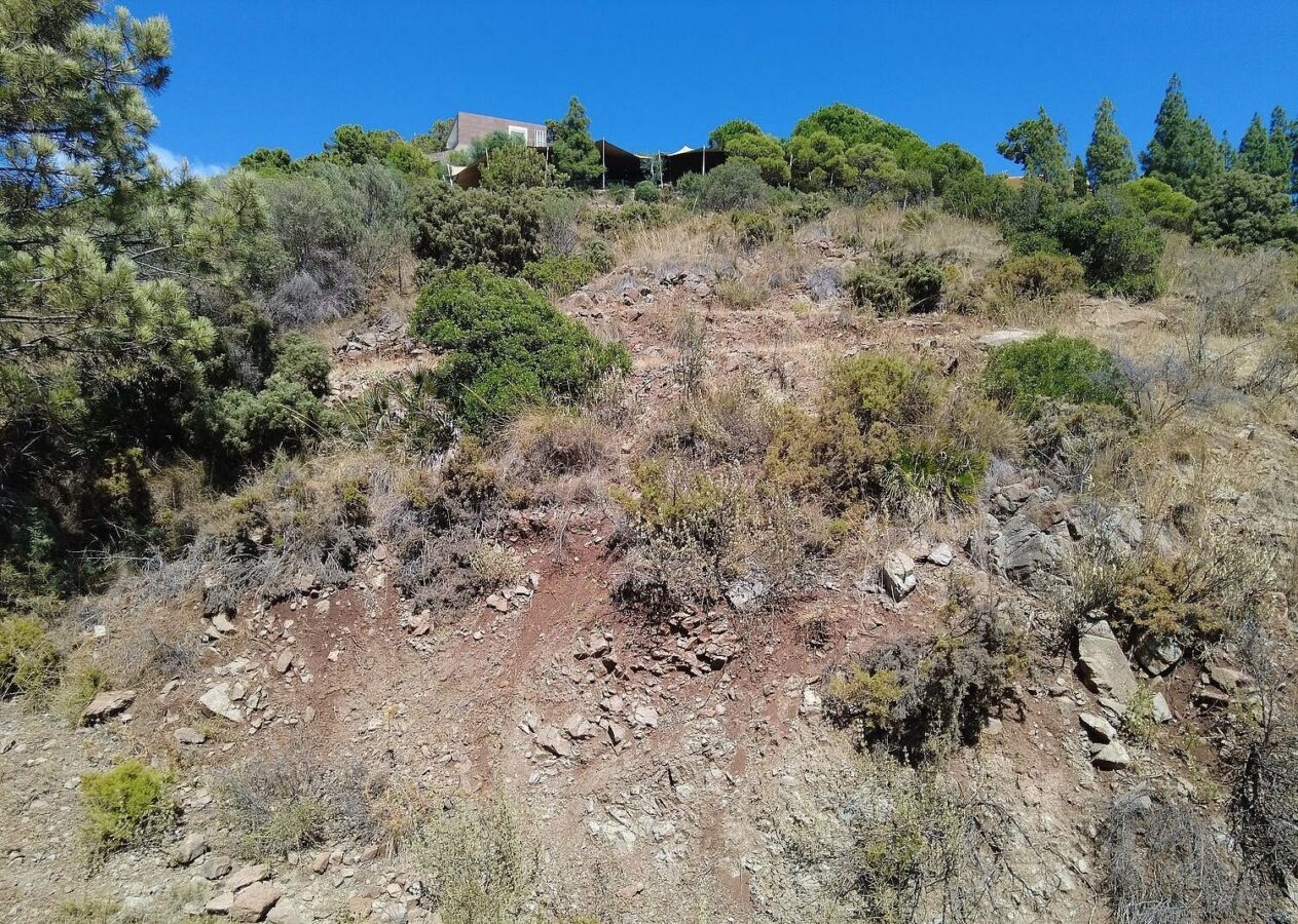 FOR SALE 🏡 Sea-View Building Plot with Licence and Approved Villa Project – El Madroñal, Benahavís 🇪🇸
