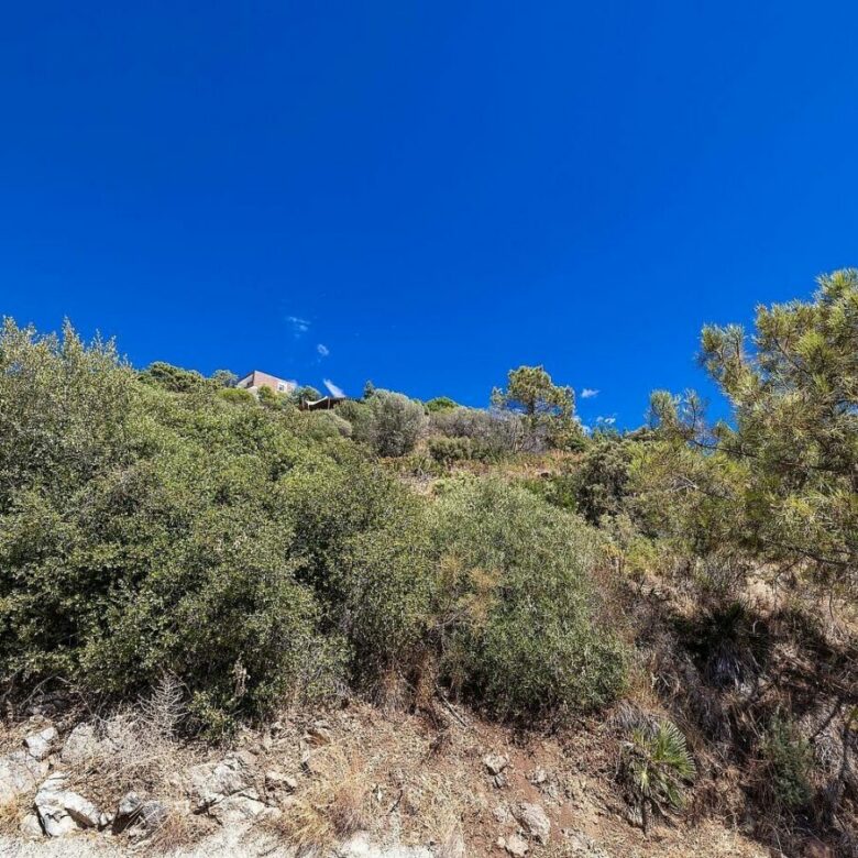 FOR SALE 🏡 Sea-View Building Plot with Licence and Approved Villa Project – El Madroñal, Benahavís 🇪🇸