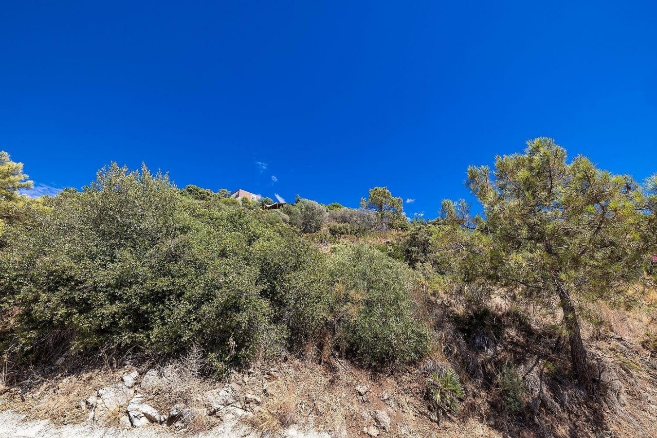FOR SALE 🏡 Sea-View Building Plot with Licence and Approved Villa Project – El Madroñal, Benahavís 🇪🇸