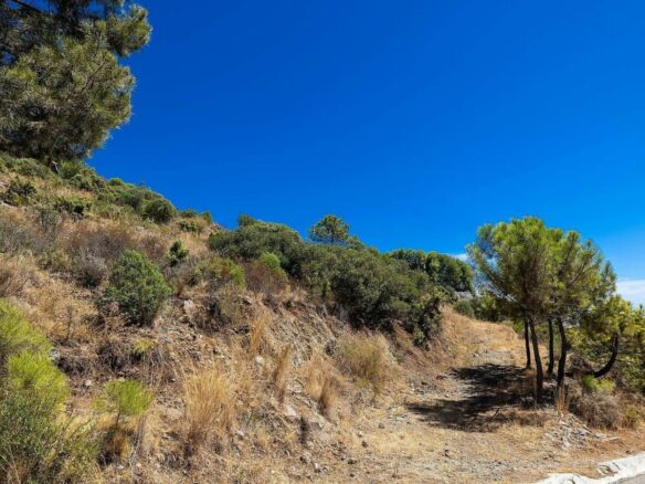 FOR SALE 🏡 Sea-View Building Plot with Licence and Approved Villa Project – El Madroñal, Benahavís 🇪🇸