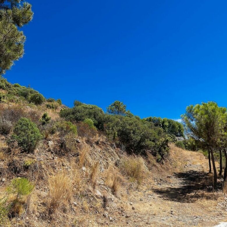 FOR SALE 🏡 Sea-View Building Plot with Licence and Approved Villa Project – El Madroñal, Benahavís 🇪🇸
