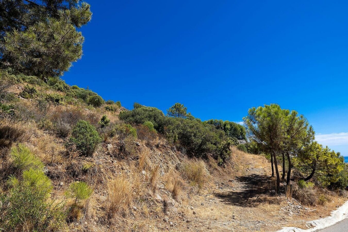 FOR SALE 🏡 Sea-View Building Plot with Licence and Approved Villa Project – El Madroñal, Benahavís 🇪🇸