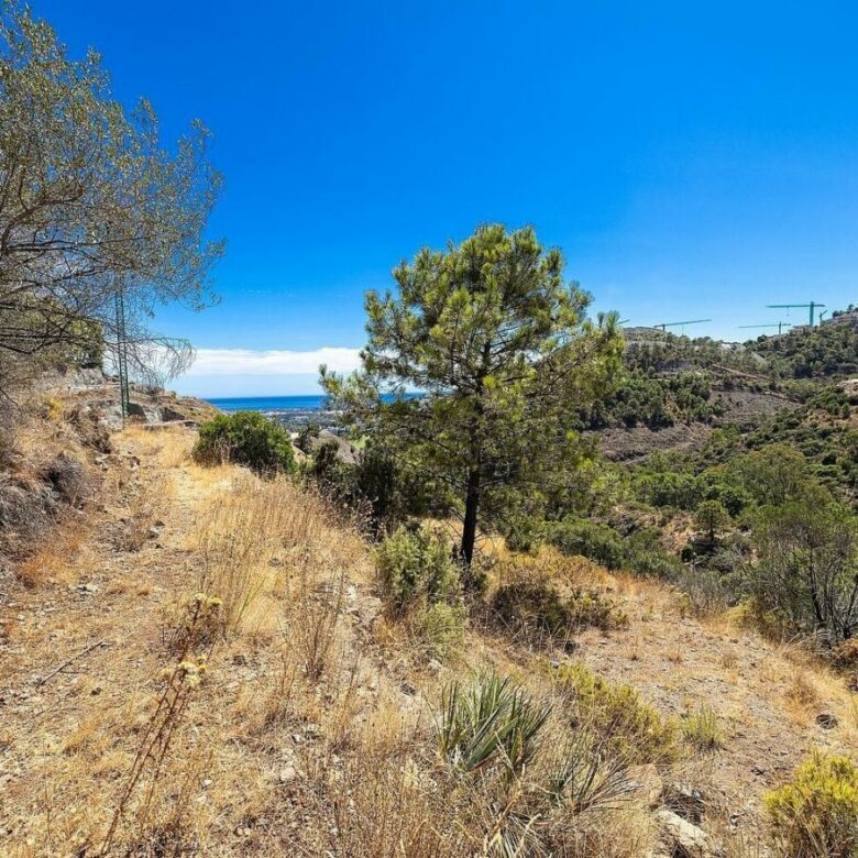 FOR SALE 🏡 Sea-View Building Plot with Licence and Approved Villa Project – El Madroñal, Benahavís 🇪🇸