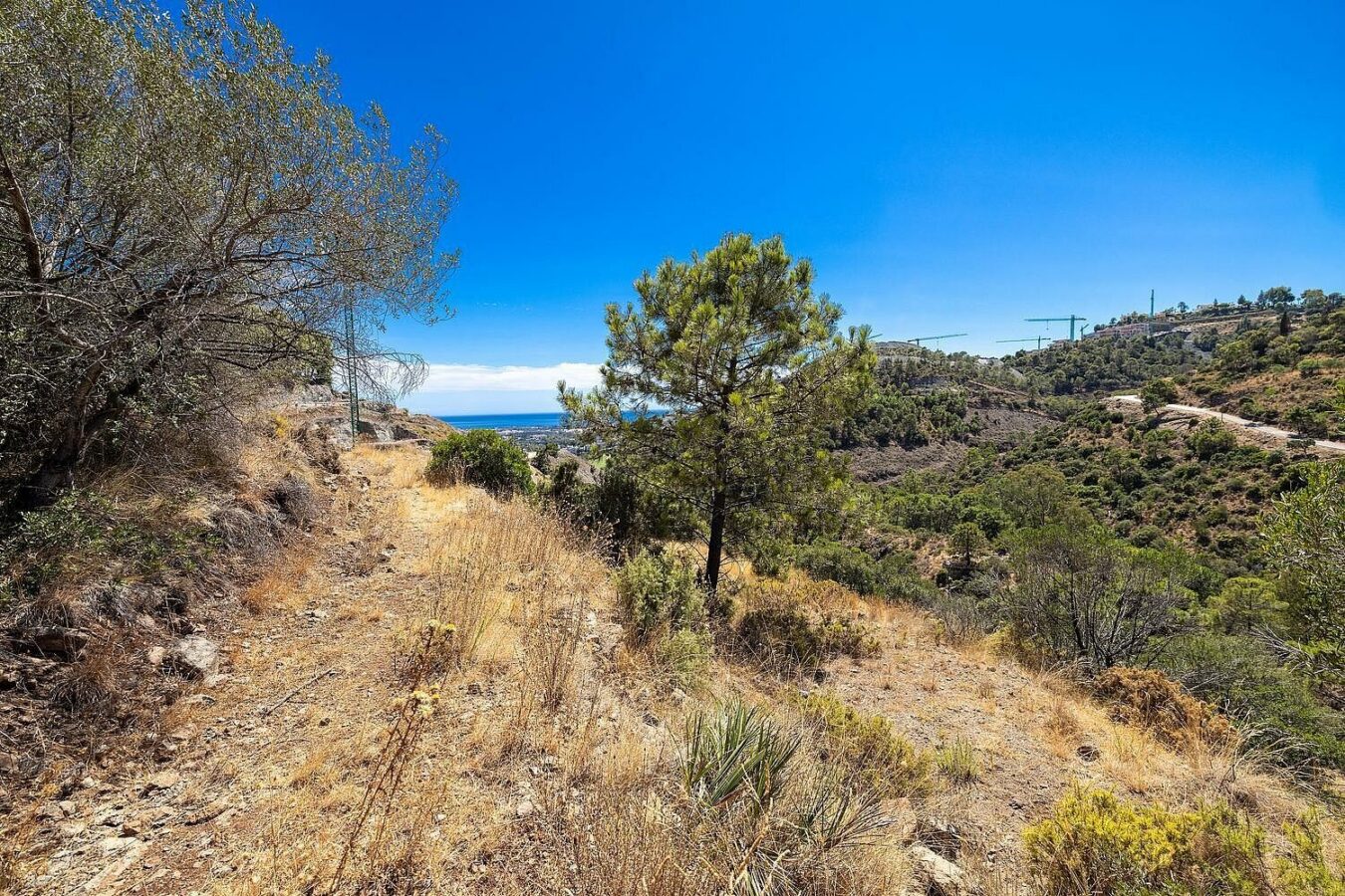 FOR SALE 🏡 Sea-View Building Plot with Licence and Approved Villa Project – El Madroñal, Benahavís 🇪🇸