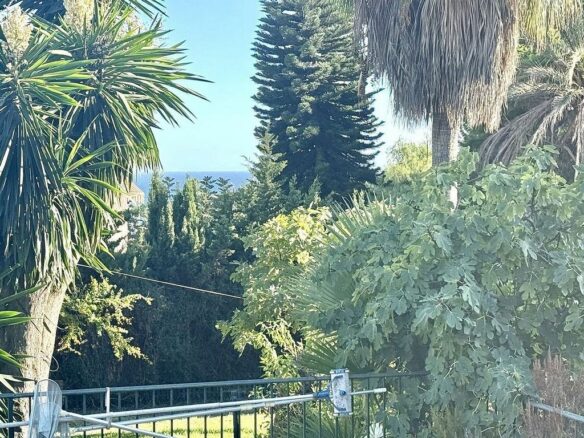 Renovation villa on a large plot in Bello Horizonte, Marbella East