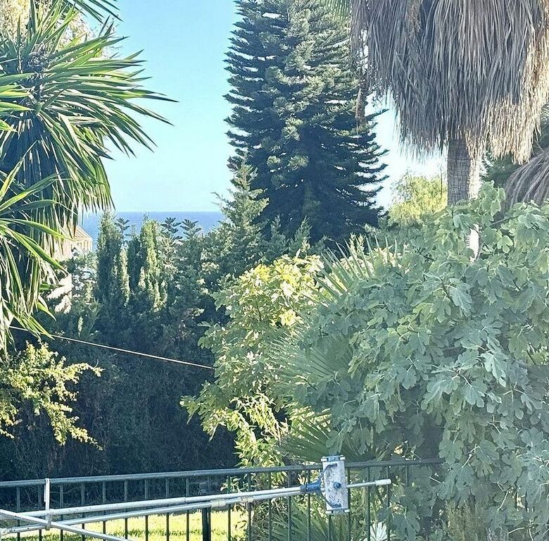 Renovation villa on a large plot in Bello Horizonte, Marbella East