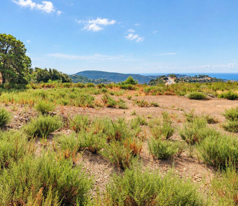 FOR SALE 🏡 Flat Southwest-Facing Plot with Panoramic Sea Views in a Gated Estate – Monte Mayor, Benahavís 🇪🇸
