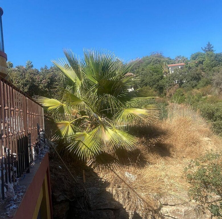 Six-bedroom villa to renovate with lift in Santa Maria, Elviria, Marbella