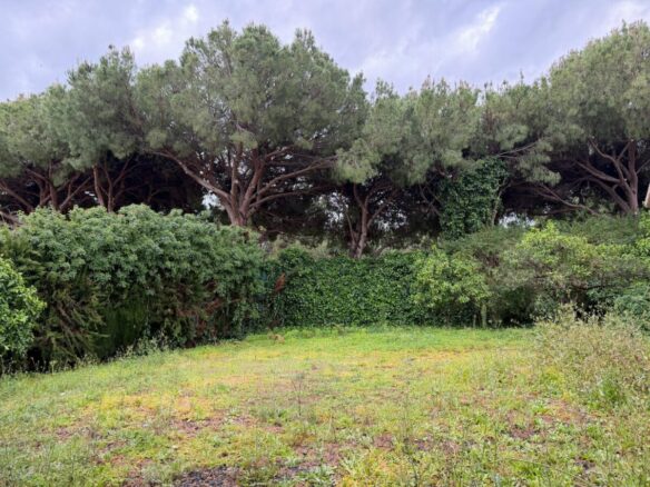 FOR SALE 🏡 Villa for Full Renovation on a 1,354 m² Private Plot in Town – Marbella 🇪🇸