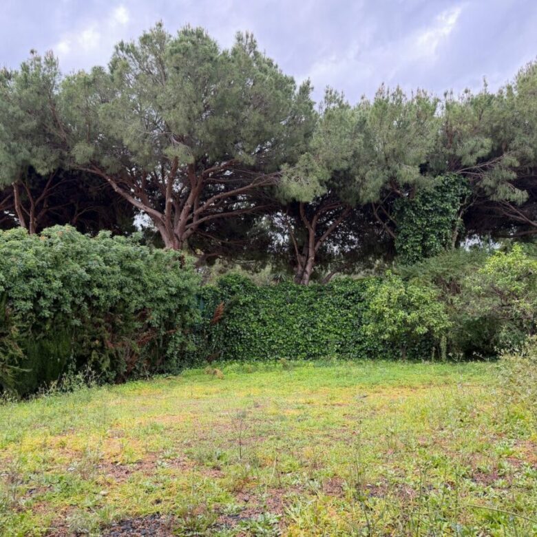 FOR SALE 🏡 Villa for Full Renovation on a 1,354 m² Private Plot in Town – Marbella 🇪🇸