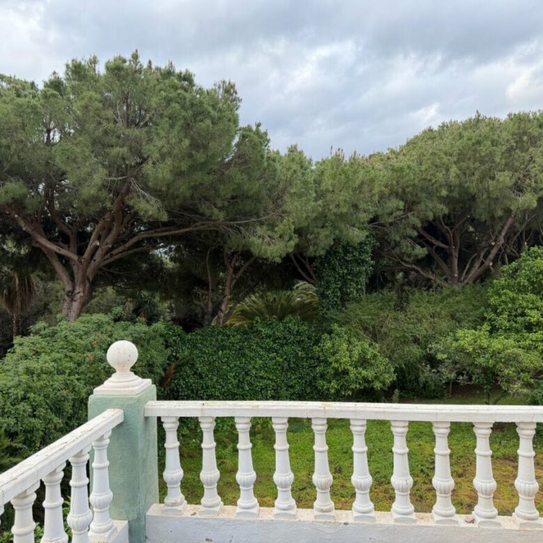 FOR SALE 🏡 Villa for Full Renovation on a 1,354 m² Private Plot in Town – Marbella 🇪🇸